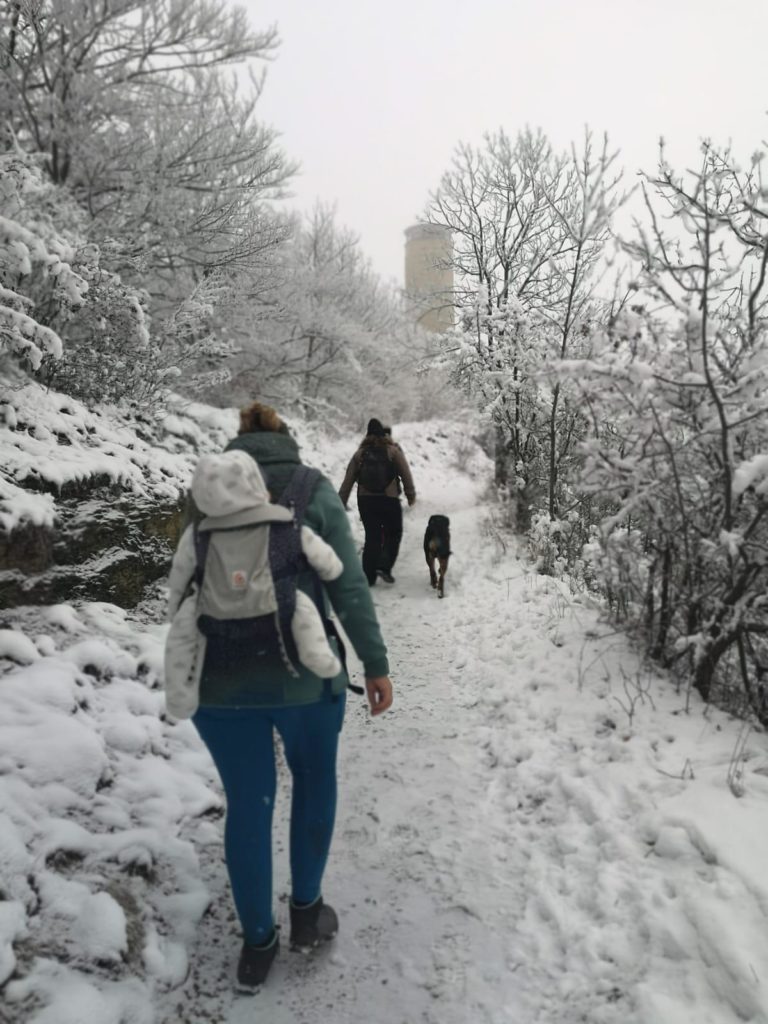 Trail_Schnee